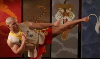 克罗地亚战警米尔科 克罗地亚战警米尔科